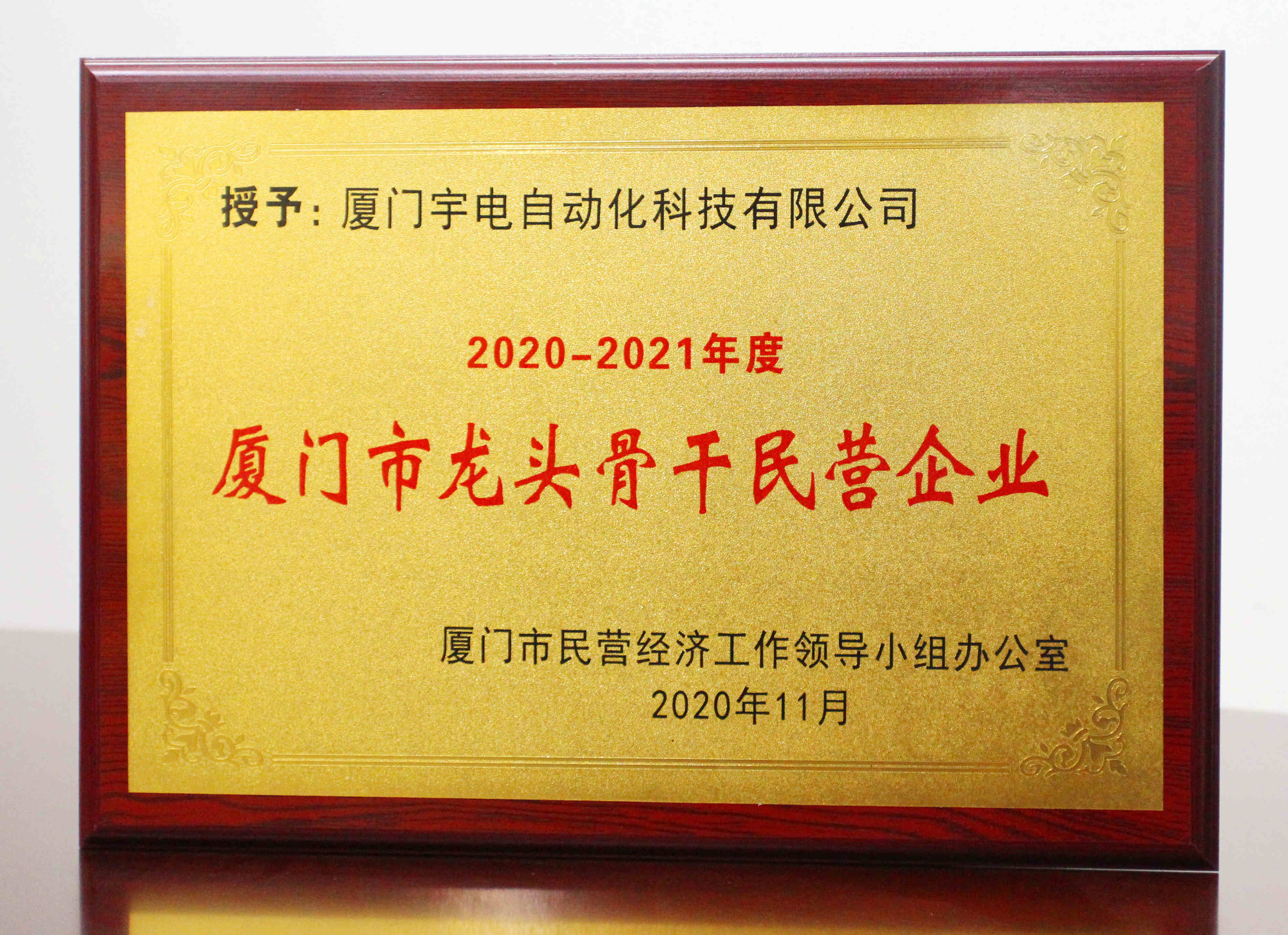 2020-2021年度龍頭骨干民營企業(yè)_XIAO副本.jpg